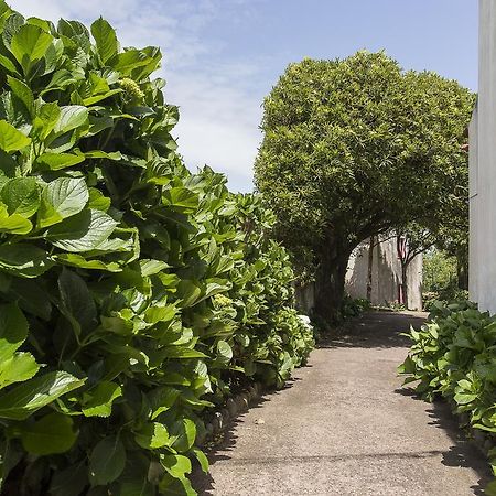 Casa Do Maranhao - Nature & Views Experience Капелас Екстериор снимка